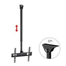 Uchwyt do telewizora sufitowy Maclean MC-631 32-65