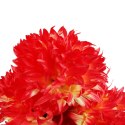 BUKIET 7 DUŻYCH CHRYZANTEM CIENIOWANYCH 58 CM KOLOR POMARAŃCZOWY