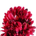 BUKIET CHRYZANTEM 60CM PREMIUM KOLOR BORDOWY