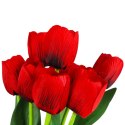 Bukiet 9 TULIPANÓW w kolorze ŻÓŁTYM 40 cm