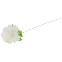 Chryzantema pojedynczy kwiat w kolorze białym 62 cm