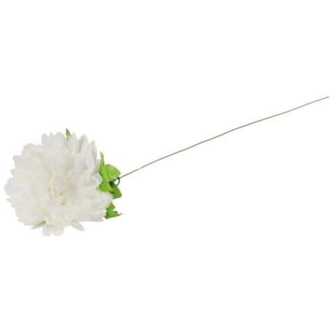 Chryzantema pojedynczy kwiat w kolorze białym 62 cm