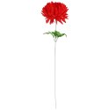Chryzantema pojedynczy kwiat w kolorze czerwonym 62 cm