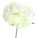 Chryzantema pojedynczy kwiat w kształcie kuli w kolorze jasno- pomarańczowy 77 cm