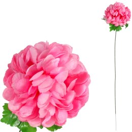 Chryzantema pojedynczy kwiat w kształcie kuli w kolorze jasno-różowy 77 cm