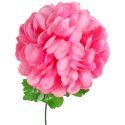 Chryzantema pojedynczy kwiat w kształcie kuli w kolorze jasno-różowy 77 cm