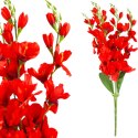 BUKIET 5 GAŁĄZEK MIECZYKÓW czerwona GLADIOLA 67 cm