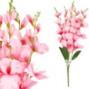 BUKIET 5 GAŁĄZEK MIECZYKÓW jasno-różowa GLADIOLA 67 cm