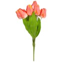 BUKIET 9 TULIPANÓW 44 CM KOLOR RÓŻOWO-ŻÓŁTY