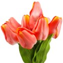 BUKIET 9 TULIPANÓW 44 CM KOLOR RÓŻOWO-ŻÓŁTY