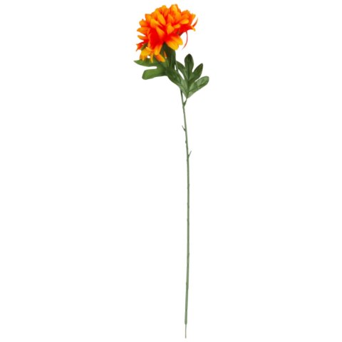 Chryzantema pojedynka w kolorze pomarańczowym 67 cm