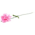 Chryzantema pojedynka w kolorze żółtym 67 cm