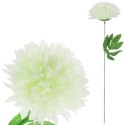 CHRYZANTEMA POJEDYKA BIAŁA FI 22CM
