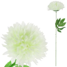 CHRYZANTEMA POJEDYKA BIAŁA FI 22CM