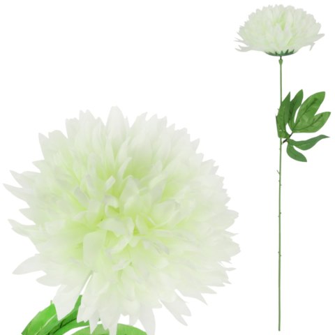 CHRYZANTEMA POJEDYKA BIAŁA FI 22CM