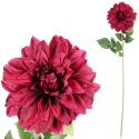 Dalia DUŻY kwiat pojedynczy CIEMNY FIOLET 74 cm