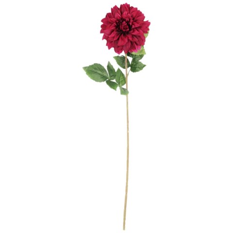 Dalia DUŻY kwiat pojedynczy CIEMNY FIOLET 74 cm