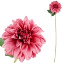 Dalia DUŻY kwiat pojedynczy JASNY FIOLET 74 cm