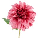Dalia DUŻY kwiat pojedynczy JASNY FIOLET 74 cm
