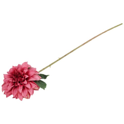 Dalia DUŻY kwiat pojedynczy JASNY FIOLET 74 cm