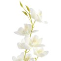 Gałązka Sztucznego Storczyka 84 cm Kolor Biały