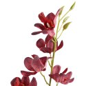 Gałązka Sztucznego Storczyka 84 cm Kolor Bordowy