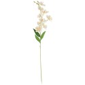 Gałązka Sztucznego Storczyka 84 cm Kolor Kremowy