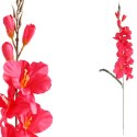 MIECZYK CIEMNO-RÓŻOWY GLADIOLA 76 CM