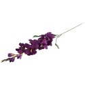 MIECZYK FIOLETOWY ZIELONY GLADIOLA 76 CM