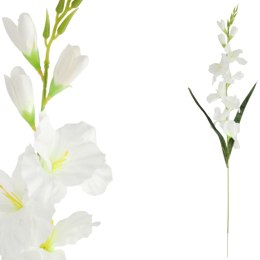 MIECZYK kwiat sztuczny do wazonu GLADIOLA 76 cm biała