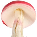 MUCHOMOREK CZERWONY NA PIKU 11cm x 6 cm GRZYBEK MUCHOMOR PIK DEKORACJA