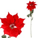 GAŁĄZKA ELEGANCKIEJ WELUROWEJ POINSECJI GWIAZDA BETLEJEMSKA 68 cm KOLOR CZERWONY