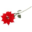 GAŁĄZKA ELEGANCKIEJ WELUROWEJ POINSECJI GWIAZDA BETLEJEMSKA 68 cm KOLOR CZERWONY