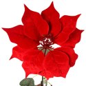 GAŁĄZKA ELEGANCKIEJ WELUROWEJ POINSECJI GWIAZDA BETLEJEMSKA 68 cm KOLOR CZERWONY