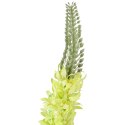 SZTUCZNY KWIAT Gałązka Pustynnik ,Tuberoza 104 cm zielony