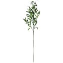 GAŁĄZKA OLIWNA Z OLIWKAMI 90 CM