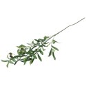 GAŁĄZKA OLIWNA Z OLIWKAMI 90 CM